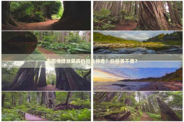 泰国佛牌效果真的如此神奇？价格贵不贵？