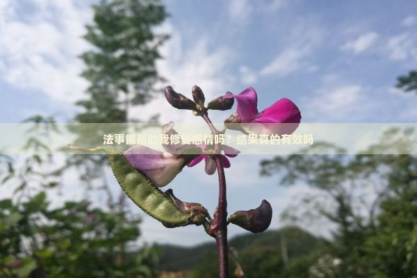 法事能帮助我修复感情吗？结果真的有效吗
