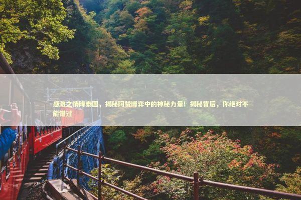 感激之情降泰国，揭秘阿赞博弈中的神秘力量！揭秘背后，你绝对不能错过