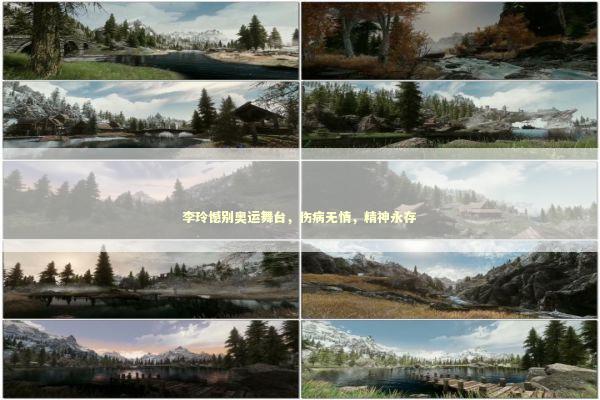 李玲憾别奥运舞台，伤病无情，精神永存