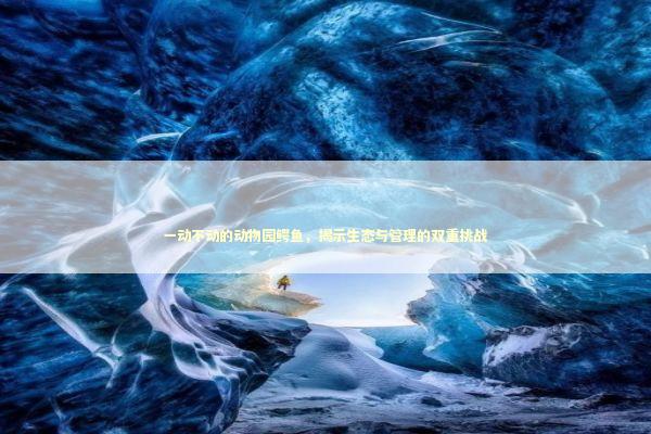 一动不动的动物园鳄鱼，揭示生态与管理的双重挑战