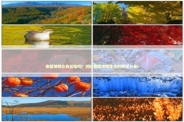 泰国情降会有反噬吗？揭秘泰国情降背后的神秘力量！