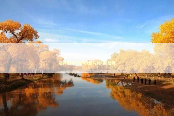 逆转乾坤，如何挽回与舅妈的感情