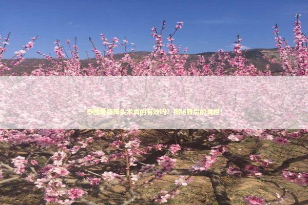 泰国爱情降头术真的有效吗？揭秘背后的真相！