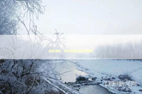 求助淄博，如何挽回失去的感情？