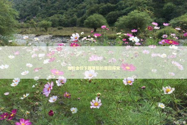 油价金价下跌背后的原因探究