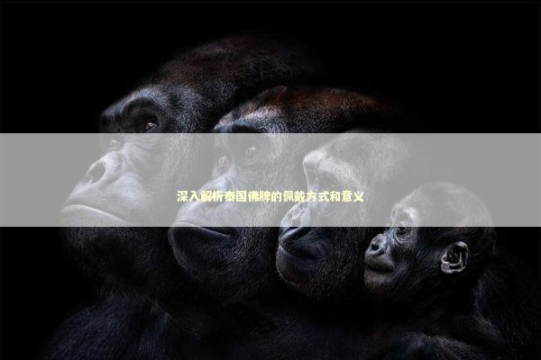 深入解析泰国佛牌的佩戴方式和意义