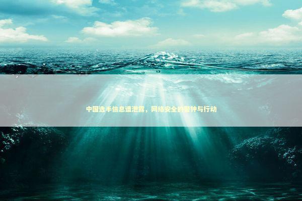 中国选手信息遭泄露，网络安全的警钟与行动