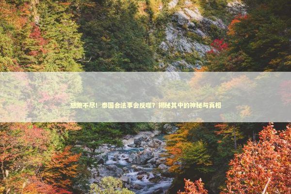 感激不尽！泰国合法事会反噬？揭秘其中的神秘与真相