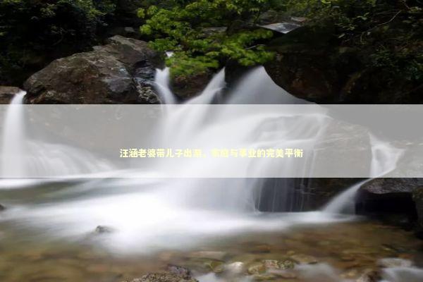 汪涵老婆带儿子出游，家庭与事业的完美平衡