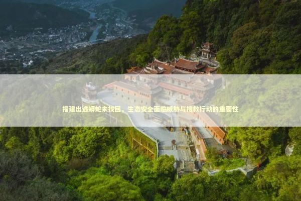 福建出逃蟒蛇未找回，生态安全面临威胁与搜救行动的重要性