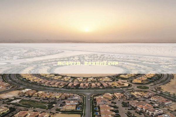 网红维权之路，歌声背后的正义呼声