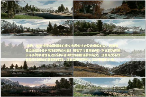  请教，如何选择泰国佛牌的经文有哪些适合投资佛教的人？你是否曾经面临过关于佛法修炼的问题？想要学习和精通吗？本文将为你揭示许多简单易懂且适合初学者读取的泰国佛牌的经文。这些经文不仅有益于对佛法的理解和实践，还有助于找到内心深处平静的力量。
