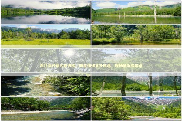 贾乃亮开幕式被淋透，明星遭遇意外雨幕，现场情况成焦点