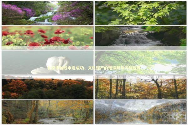 北京中轴线申遗成功，文化遗产的璀璨明珠闪耀世界