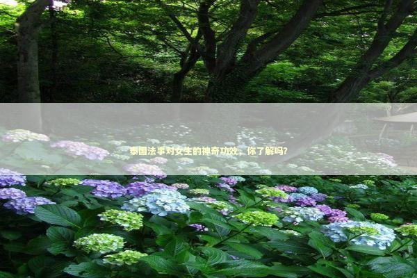 泰国法事对女生的神奇功效，你了解吗？