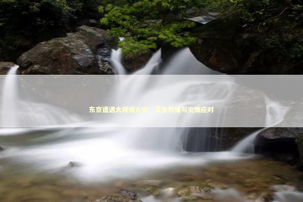 东京遭遇大规模火灾，紧急救援与灾情应对