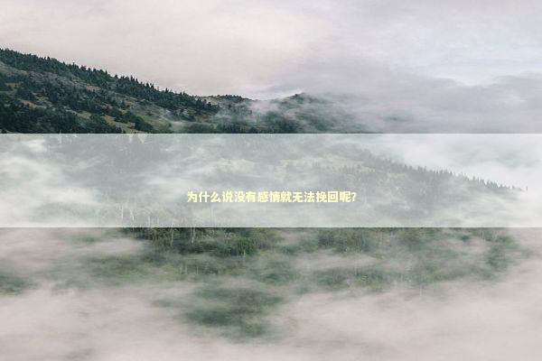 为什么说没有感情就无法挽回呢？