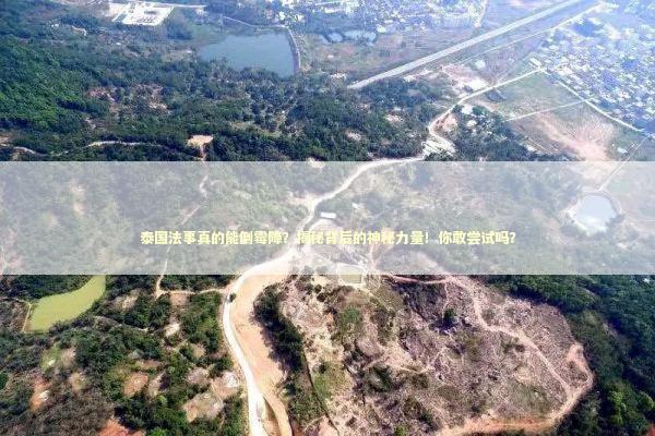 泰国法事真的能倒霉降？揭秘背后的神秘力量！你敢尝试吗？