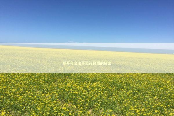 揭开和合法事灵符背后的秘密