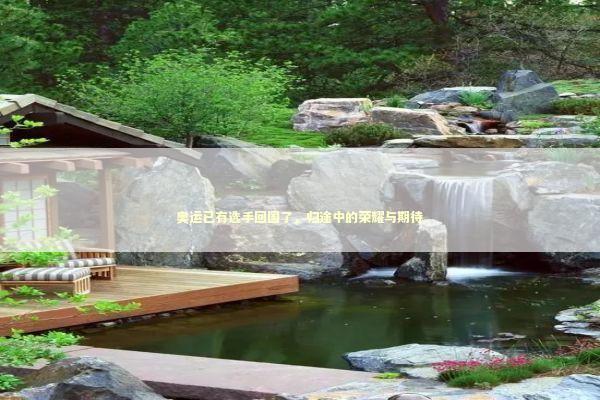 奥运已有选手回国了，归途中的荣耀与期待