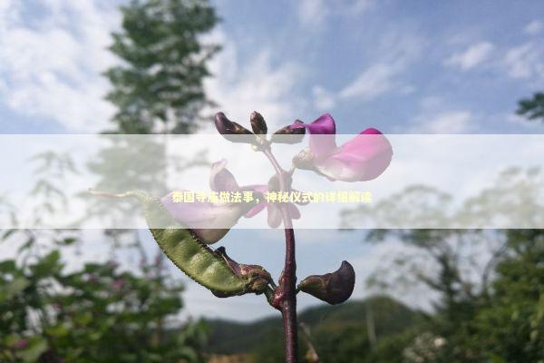 泰国寺庙做法事，神秘仪式的详细解读