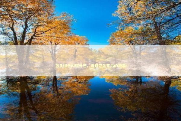 莎头组合闪耀光芒，混双夺金背后的故事