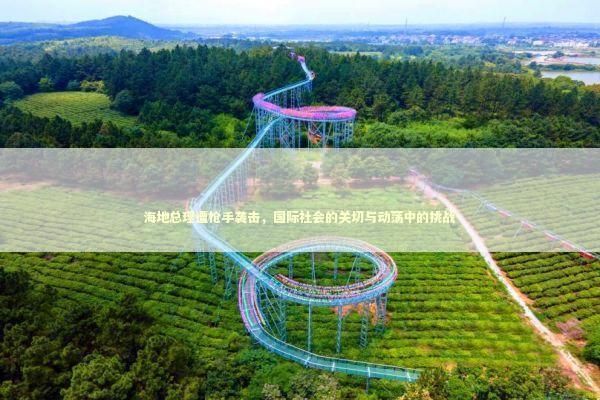 海地总理遭枪手袭击，国际社会的关切与动荡中的挑战