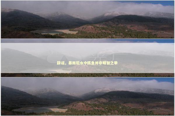 辟谣，暴雨后水中抓鱼并非明智之举