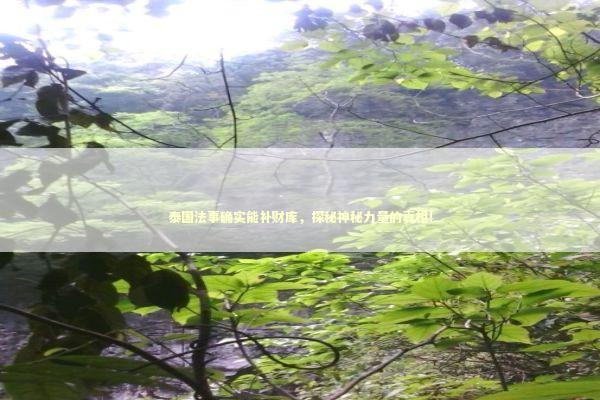 泰国法事确实能补财库，探秘神秘力量的真相！