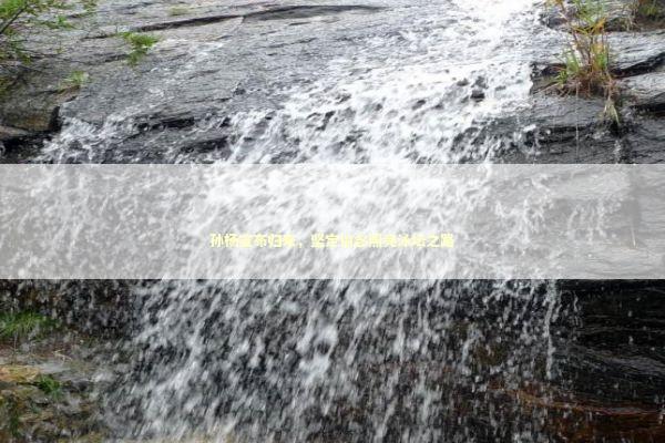 孙杨宣布归来，坚定信念照亮泳坛之路