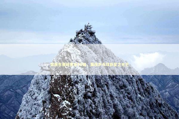 樊振东晋级男单16强，展现乒乓球新星之光芒