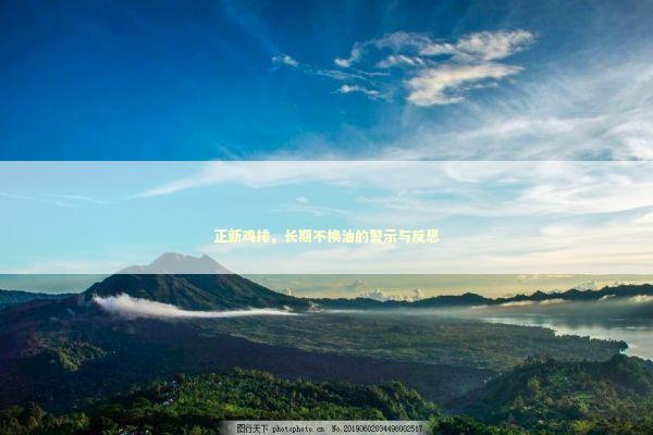 正新鸡排，长期不换油的警示与反思