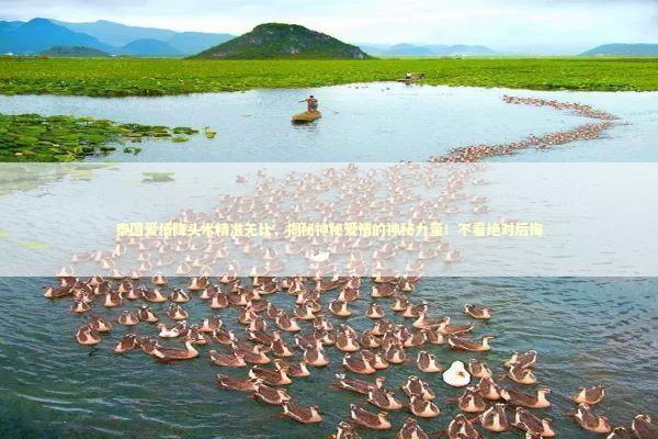 泰国爱情降头术精准无比，揭秘神秘爱情的神秘力量！不看绝对后悔！