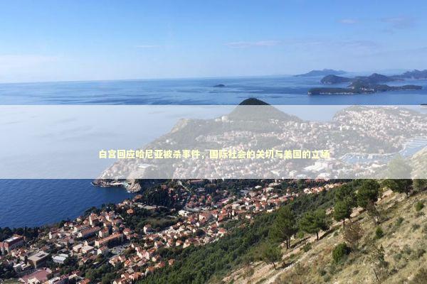 白宫回应哈尼亚被杀事件，国际社会的关切与美国的立场