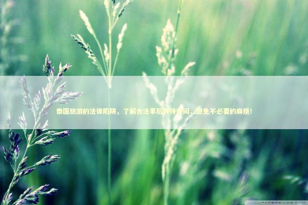泰国旅游的法律陷阱，了解合法事后等待时间，避免不必要的麻烦！