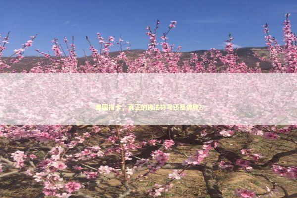 泰国福卡，真正的佛法符号还是佛牌？