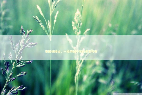 泰国情降油，一段跨越千年的爱恋传奇