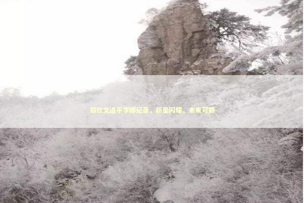 郑钦文追平李娜纪录，新星闪耀，未来可期