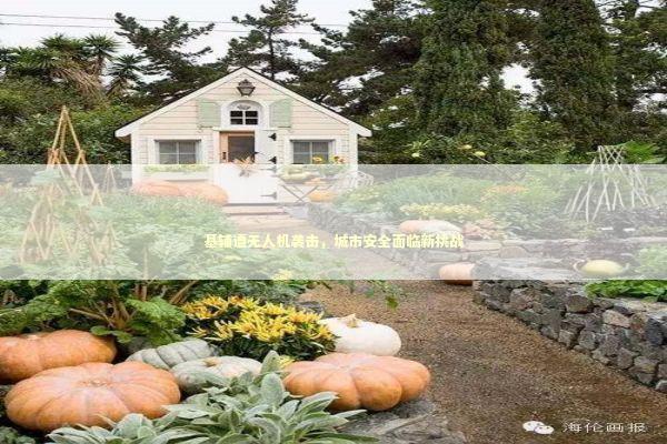 基辅遭无人机袭击，城市安全面临新挑战