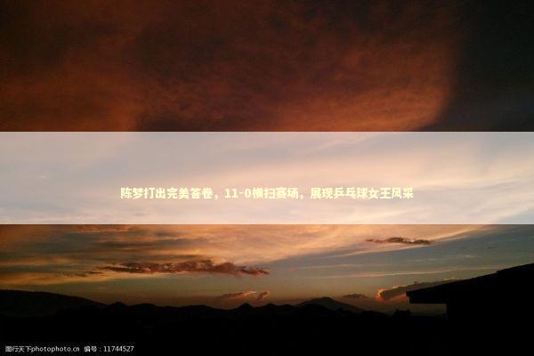 陈梦打出完美答卷，11-0横扫赛场，展现乒乓球女王风采