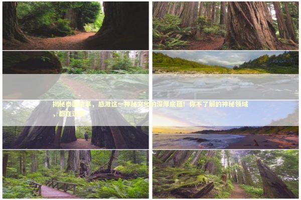 揭秘泰国法事，感激这一神秘文化的深厚底蕴！你不了解的神秘领域，都在这里