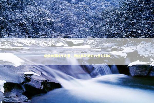 感激泰国神秘法事，揭秘其背后的力量与影响