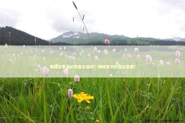 泰国法事真的有害无益吗？揭秘其中的潜在危害！