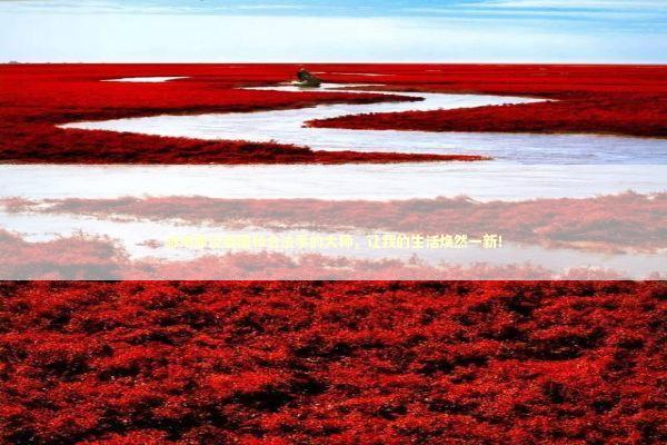 感谢那位泰国和合法事的大师，让我的生活焕然一新！