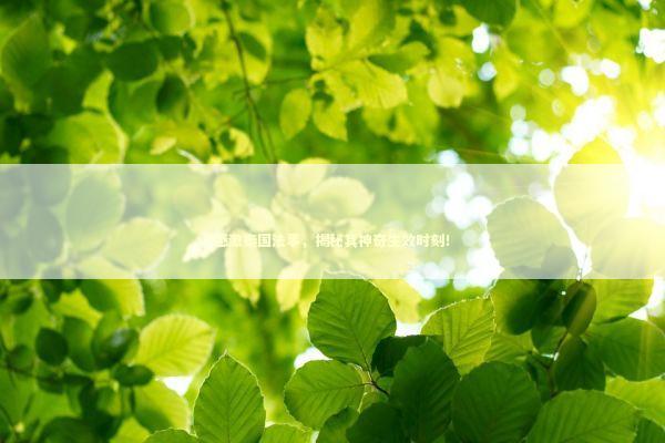 感激泰国法事，揭秘其神奇生效时刻！