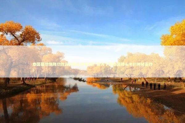 泰国墓地情降功效真的那么神奇吗？深入了解泰国降头术的神秘面纱！