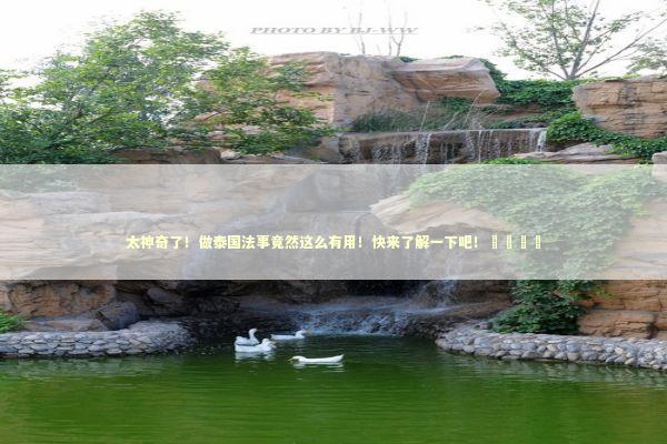 太神奇了！做泰国法事竟然这么有用！快来了解一下吧！😊