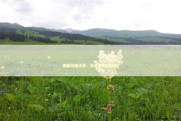 泰国拆婚法事，快速见效的秘密！