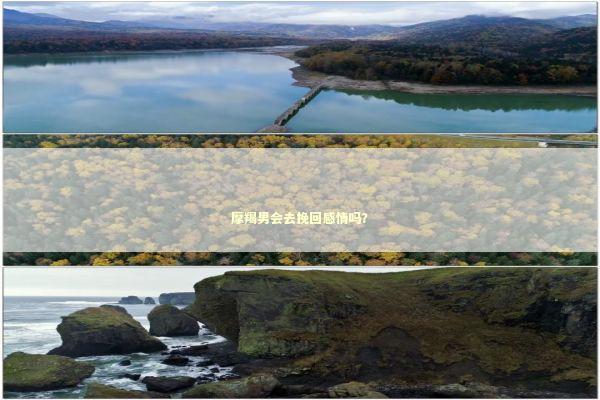 摩羯男会去挽回感情吗？